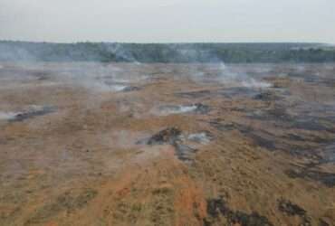 Ação fiscaliza 17 fazendas no norte de Mato Grosso e aplica cerca de R$ 24 milhões em multa