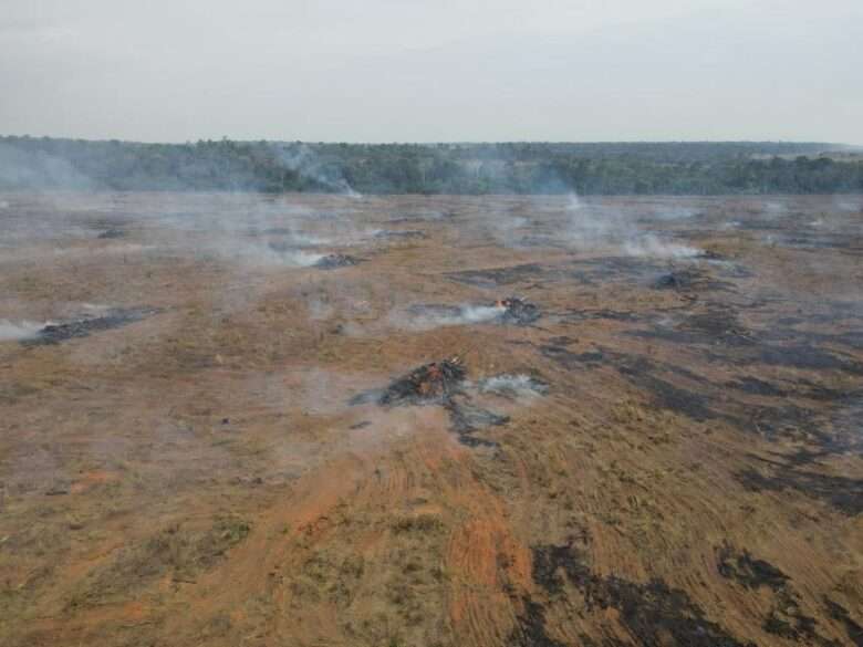 Ação fiscaliza 17 fazendas no norte de Mato Grosso e aplica cerca de R$ 24 milhões em multa