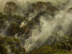 Apesar das chuvas, incêndios continuam em Mato Grosso