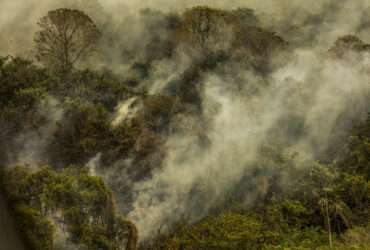 Áreas improdutivas e irregulares são as que mais registram focos de incêndio em Mato Grosso