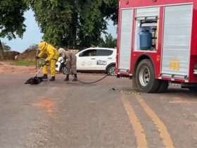 Bebê, crianças e cão são atacados por abelhas no Norte de Mato Grosso