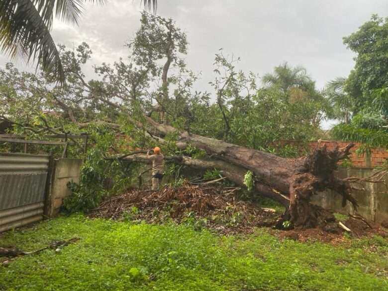 Bombeiros alertam para riscos durante o período chuvoso em Mato Grosso