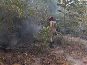 Bombeiros combatem dois incêndios em Mato Grosso