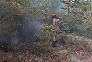 Bombeiros combatem dois incêndios em Mato Grosso