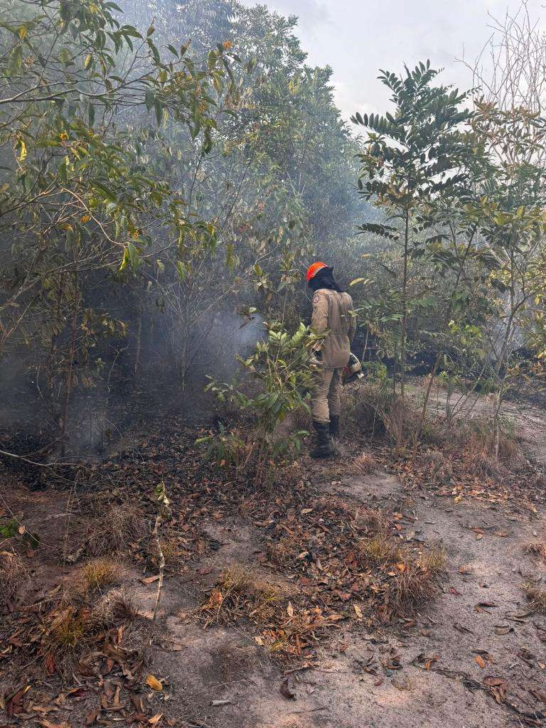 Bombeiros combatem dois incêndios em Mato Grosso