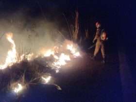 Bombeiros combatem incêndio em área de vegetação às margens da BR-070 em Mato Grosso