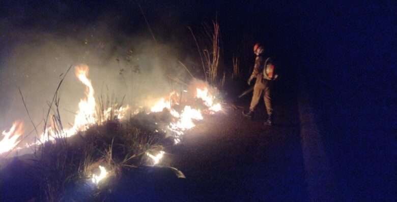 Bombeiros combatem incêndio em área de vegetação às margens da BR-070 em Mato Grosso