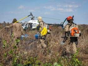 Corpo de Bombeiros combate 21 incêndios florestais em Mato Grosso nesta quinta-feira (10)