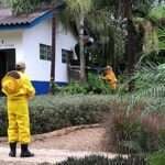 Corpo de Bombeiros remove enxame de abelhas em parque ecológico no Norte de Mato Grosso