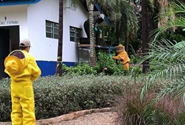 Corpo de Bombeiros remove enxame de abelhas em parque ecológico no Norte de Mato Grosso