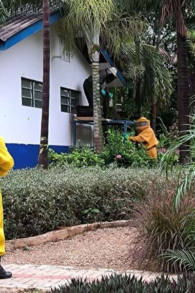 Corpo de Bombeiros remove enxame de abelhas em parque ecológico no Norte de Mato Grosso