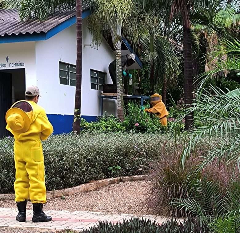 Corpo de Bombeiros remove enxame de abelhas em parque ecológico no Norte de Mato Grosso