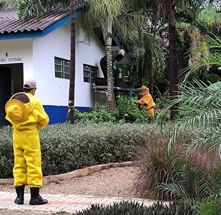Corpo de Bombeiros remove enxame de abelhas em parque ecológico no Norte de Mato Grosso
