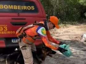 Corpo de homem desaparecido é encontrado no Rio Arinos, em Mato Grosso