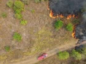 Drones auxiliam bombeiros de Santa Catarina no combate a incêndios no Pantanal de Mato Grosso