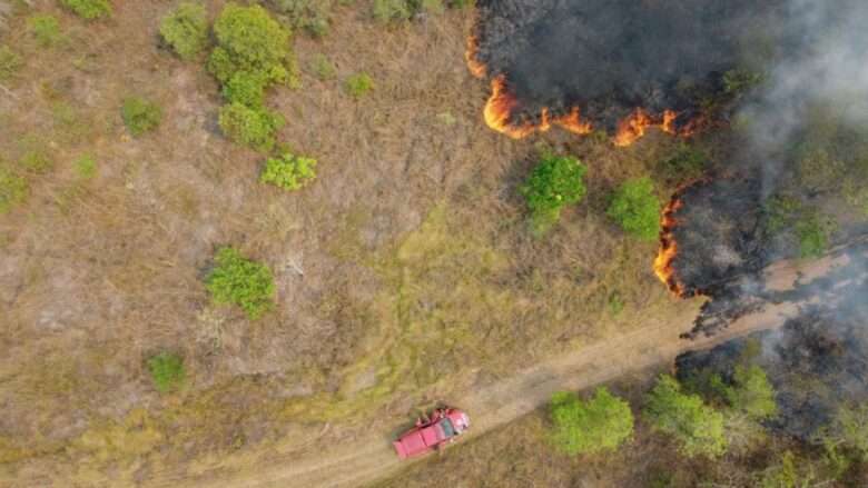 Drones auxiliam bombeiros de Santa Catarina no combate a incêndios no Pantanal de Mato Grosso