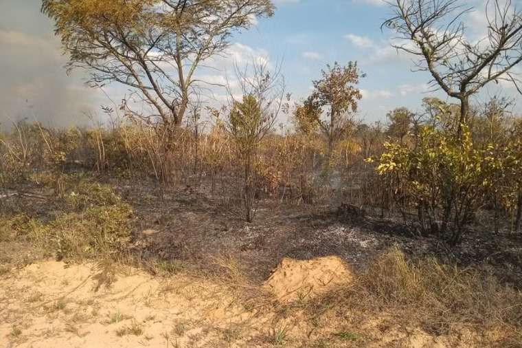 Fazendeiro fecha acordo e se compromete a reparar danos ambientais em Mato Grosso