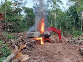 Garimpo ilegal devasta a Terra indígena Sararé e aumenta a violência em Mato Grosso