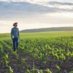 Mato Grosso avança na regularização ambiental com o Cadastro Ambiental Rural Digital