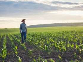 Mato Grosso avança na regularização ambiental com o Cadastro Ambiental Rural Digital