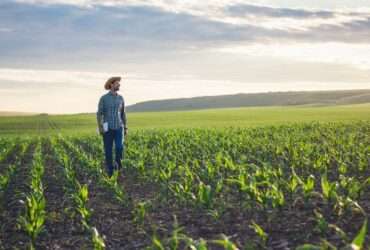 Mato Grosso avança na regularização ambiental com o Cadastro Ambiental Rural Digital