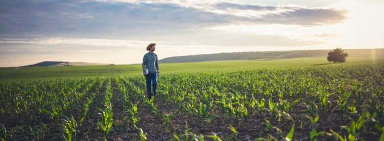 Mato Grosso avança na regularização ambiental com o Cadastro Ambiental Rural Digital