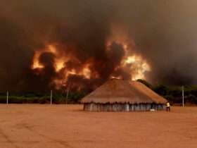 Mato Grosso concentra 70% dos territórios indígenas com mais focos de calor no Brasil Takuma Kuikuro