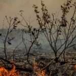 Mato Grosso enfrenta colapso climático com temperaturas que poderão alcançar 50° graus