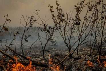 Mato Grosso enfrenta colapso climático com temperaturas que poderão alcançar 50° graus