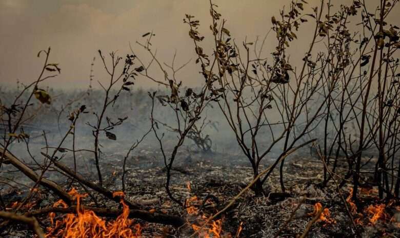 Mato Grosso enfrenta colapso climático com temperaturas que poderão alcançar 50° graus