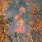 Bombeiros de Mato Grosso extinguem dois incêndios florestais e combatem outros 11 nesta quinta-feira (24)