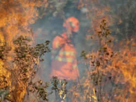 Bombeiros de Mato Grosso extinguem dois incêndios florestais e combatem outros 11 nesta quinta-feira (24)