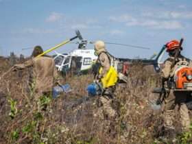 Mato Grosso mobiliza mais de mil bombeiros para combater 23 incêndios florestais