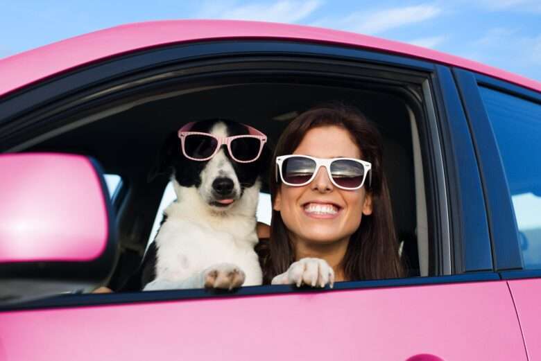 Mulher engraçada com cachorro no carro rosa - Fotos do Canva