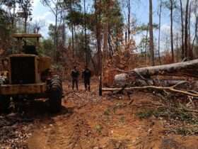 Operação apreende veículos usados em desmatamento em Mato Grosso