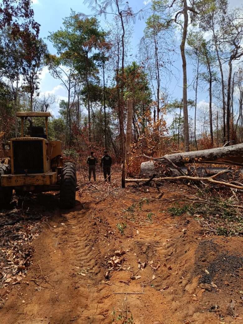 Operação apreende veículos usados em desmatamento em Mato Grosso