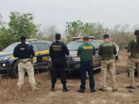 Operação da Polícia Federal combate crimes ambientais em Terra Indígena de Mato Grosso