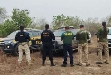 Operação da Polícia Federal combate crimes ambientais em Terra Indígena de Mato Grosso