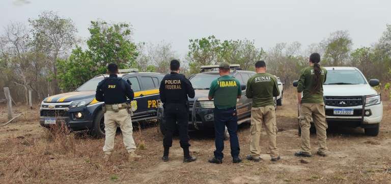 Operação da Polícia Federal combate crimes ambientais em Terra Indígena de Mato Grosso