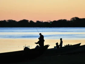 Piracema começa hoje em Mato Grosso e vai até janeiro de 2025