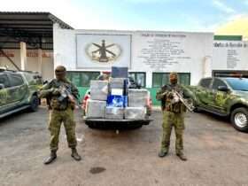 Polícia apreende quase 250 kg de cocaína em Mato Grosso