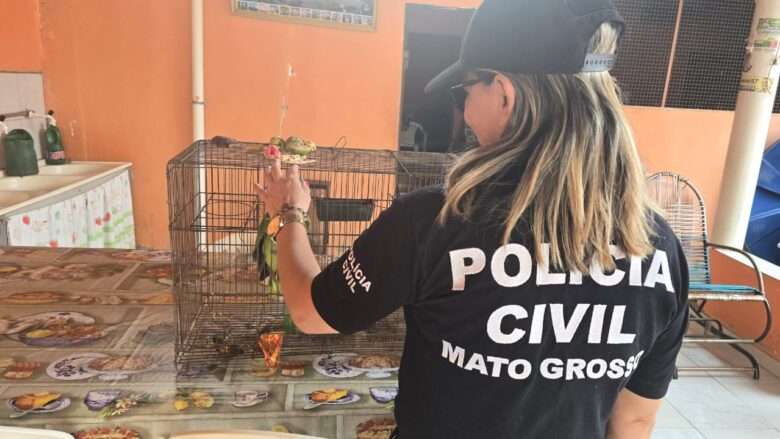 Polícia de Mato Grosso deflagra nova fase da Operação Sansão contra maus-tratos a animais