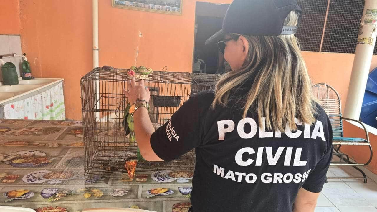 Polícia de Mato Grosso deflagra nova fase da Operação Sansão contra maus-tratos a animais