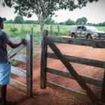 Roubo e furto de insumos agrícolas caem em Mato Grosso nos primeiros meses de 2024