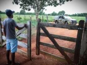 Roubo e furto de insumos agrícolas caem em Mato Grosso nos primeiros meses de 2024