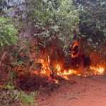 Incêndio Florestal Destrói Trator em Fazenda Próxima à MT-160