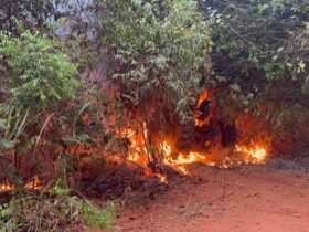 Incêndio Florestal Destrói Trator em Fazenda Próxima à MT-160