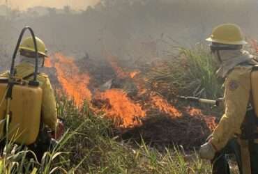 AGU aciona autores de queimadas em vegetação nativa e cobra R$ 89 milhões - Mayangdi Inzaulgarat/Ibama