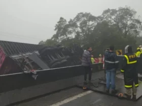 Tragédia na BR-376: Carreta desgovernada causa acidente fatal envolvendo jovens atletas de Remo