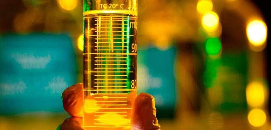 Inpasa inicia operação da maior biorrefinaria de etanol de milho do mundo no Norte de Mato Grosso